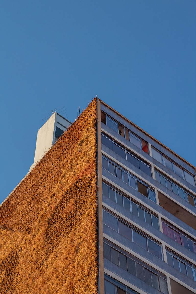 office building low angle photo of high-rise building architecture